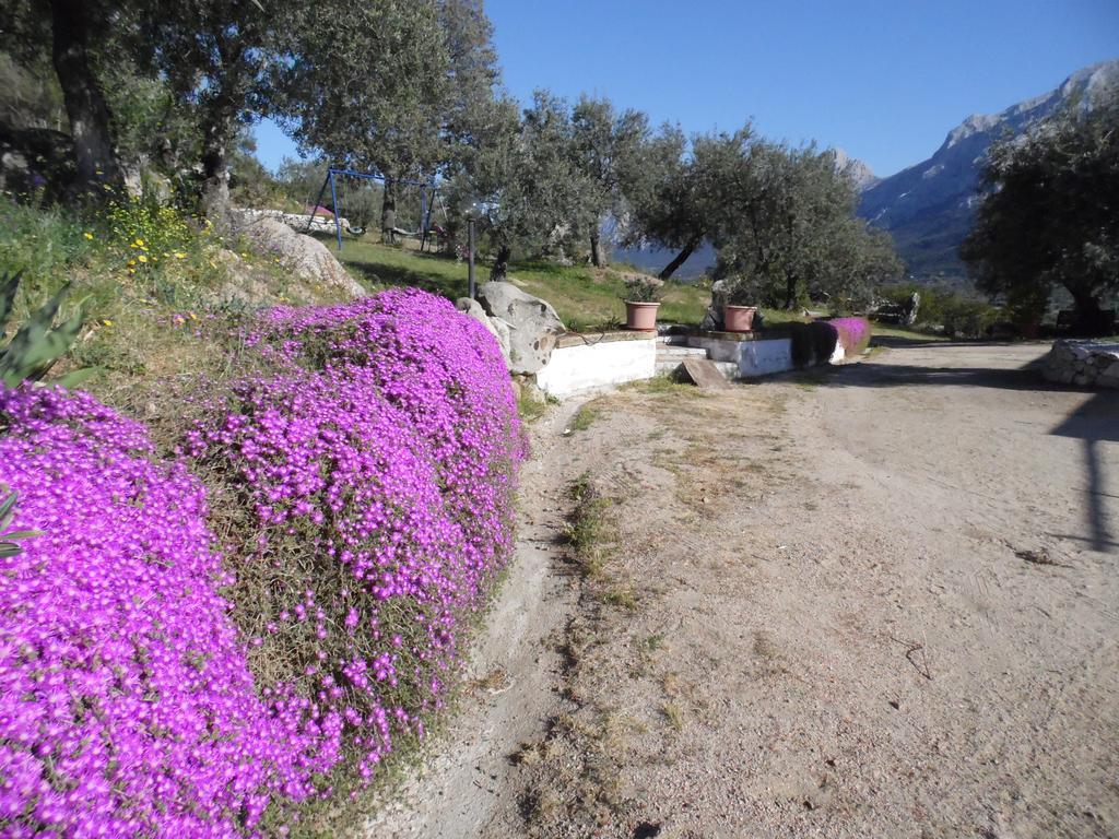 Villa L'Oleandro Oliena Eksteriør bilde