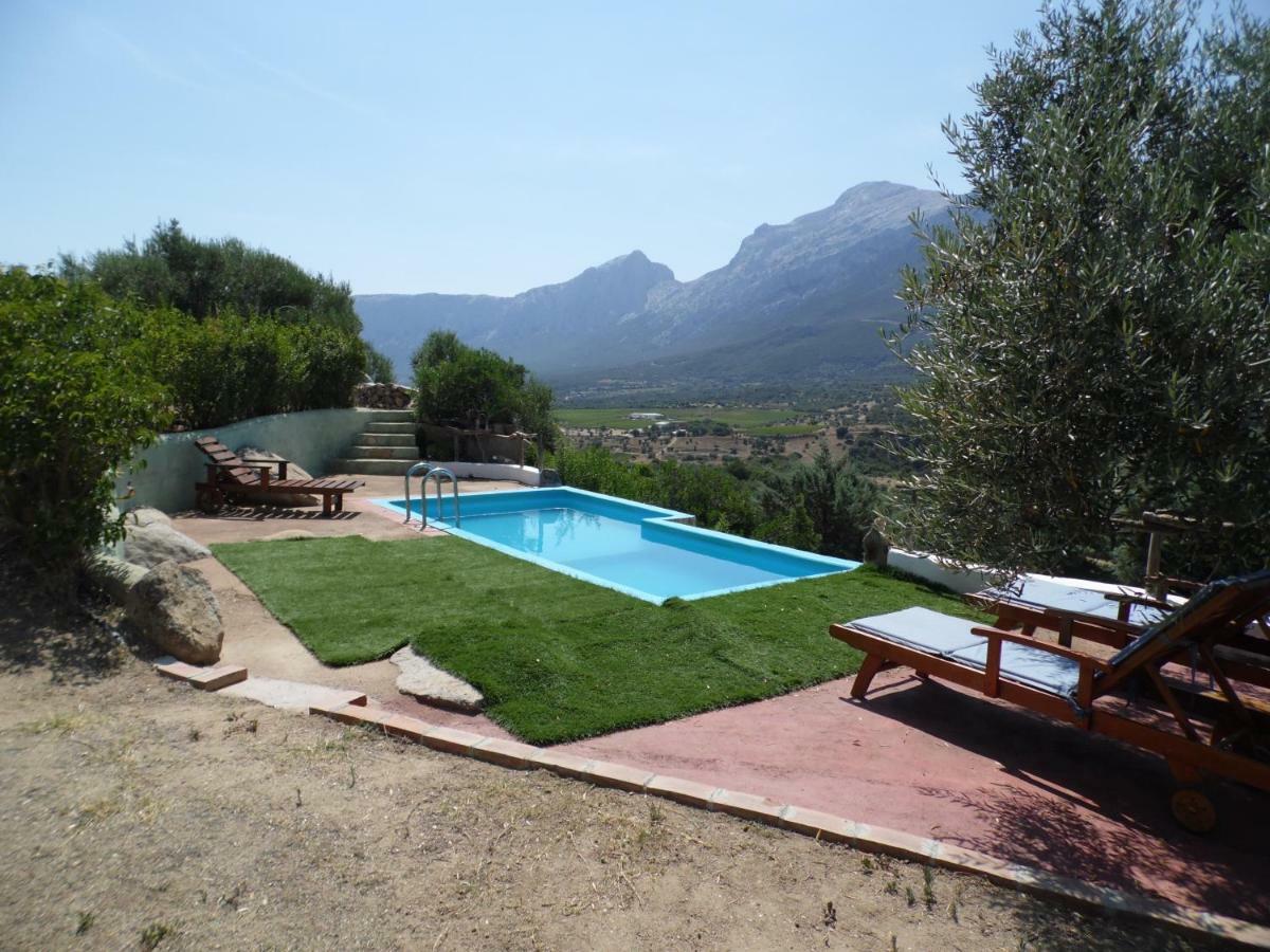 Villa L'Oleandro Oliena Eksteriør bilde