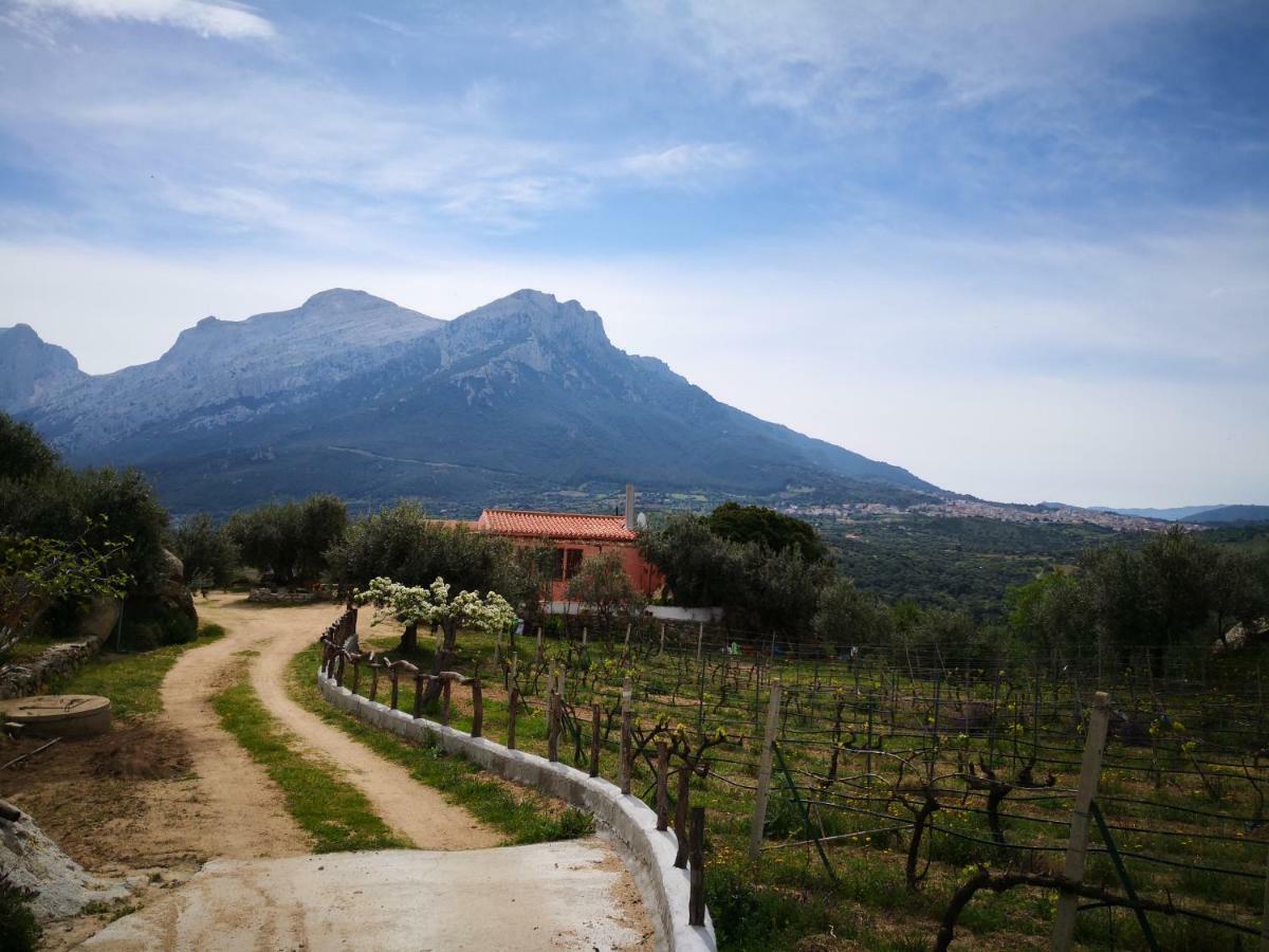 Villa L'Oleandro Oliena Eksteriør bilde