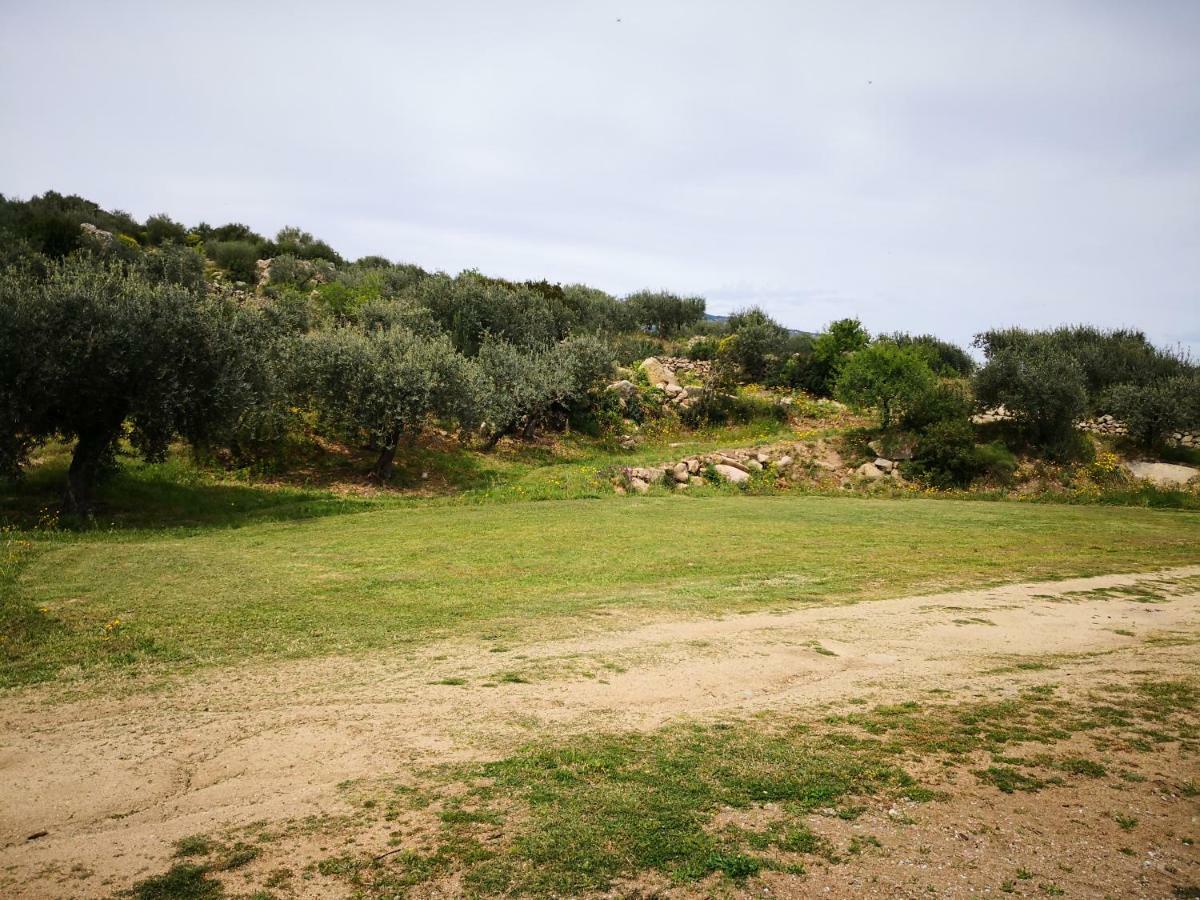Villa L'Oleandro Oliena Eksteriør bilde